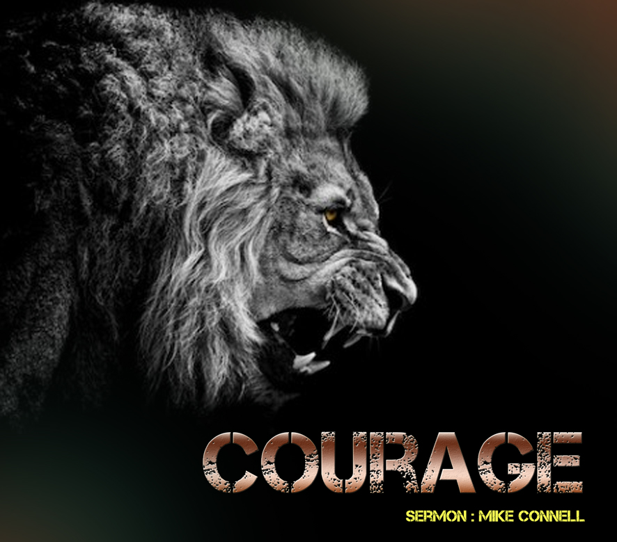 Do you have the Courage